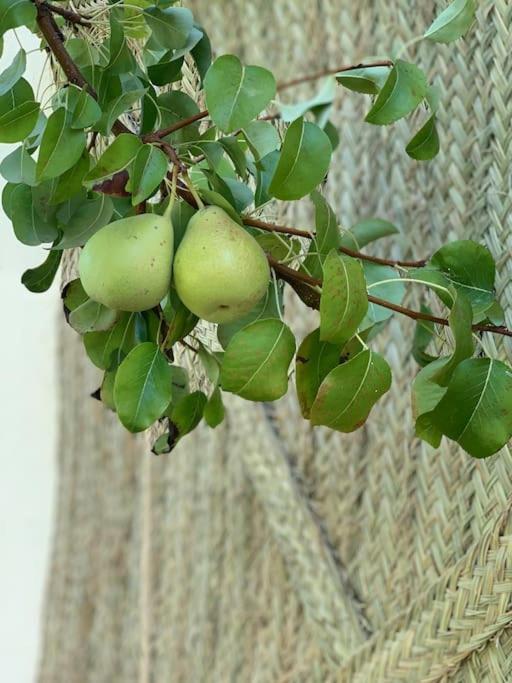 El Limonero * Villanueva De La Serena